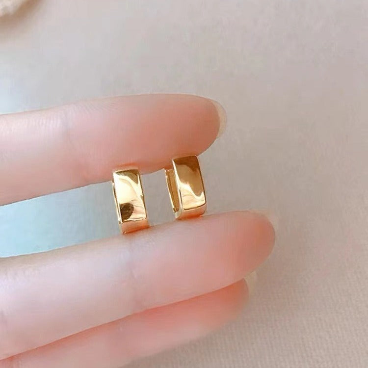 New Niche Design Simple Geometric U-shaped Earrings Women